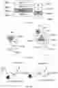Fig. 13 - Methods and devices for information acquisition, detection, and application of foot gestures