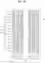 Fig. 09 - Light emitting display apparatus