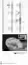Fig. 05 - Technologies for virtually trying-on items