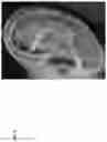 Fig. 07 - Technologies for virtually trying-on items