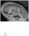 Fig. 11 - Technologies for virtually trying-on items