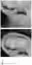 Fig. 14 - Technologies for virtually trying-on items