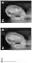 Fig. 19 - Technologies for virtually trying-on items