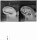 Fig. 35 - Technologies for virtually trying-on items