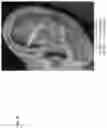 Fig. 37 - Technologies for virtually trying-on items