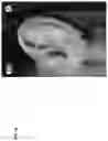 Fig. 50 - Technologies for virtually trying-on items