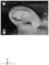Fig. 59 - Technologies for virtually trying-on items