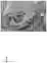 Fig. 64 - Technologies for virtually trying-on items