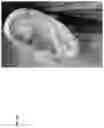 Fig. 70 - Technologies for virtually trying-on items