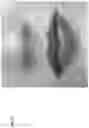 Fig. 77 - Technologies for virtually trying-on items
