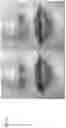 Fig. 78 - Technologies for virtually trying-on items