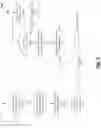Fig. 05 - SPECULATIVE DECOMPRESSION WITHIN PROCESSOR CORE CACHES