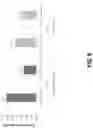 Fig. 06 - SPECULATIVE DECOMPRESSION WITHIN PROCESSOR CORE CACHES