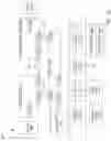 Fig. 16 - CONTEXT-BASED MEMORY INDIRECT BRANCH TARGET PREDICTION