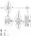 Fig. 115 - Federated area coherency across multiple devices in many-task computing