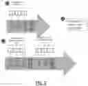 Fig. 04 - HYBRID SHADOW PAGING FOR STORING A DATABASE