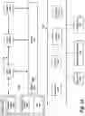 Fig. 12 - Malware detection from operating system event tracing