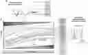Fig. 01 - Dissipative, Photon-Assisted Quantum Annealing