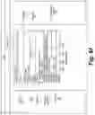 Fig. 46 - Systems and methods for semantic paraphrasing