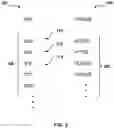 Fig. 04 - Method and system for classifying word as obscene word