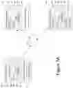 Fig. 08 - Universal language segment representations learning with conditional masked language model