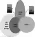 Fig. 01 - Ontologically driven procedure coding
