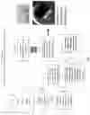 Fig. 04 - METHOD AND SYSTEM FOR REGISTERING AND AUTHENTICATING ITEMS