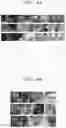 Fig. 09 - METHOD OF EVALUATING EMPATHY OF ADVERTISING VIDEO BY USING COLOR ATTRIBUTES AND APPARATUS ADOPTING THE METHOD