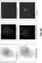 Fig. 07 - Systems and methods for masking biometric information in images