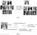 Fig. 03 - Image recognition method and device based on deep convolutional neural network