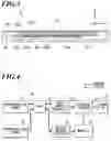 Fig. 04 - RFID tag