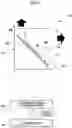 Fig. 07 - Method for manufacturing noncontact communication medium and noncontact communication medium