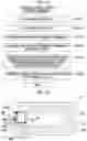 Fig. 14 - Method for manufacturing noncontact communication medium and noncontact communication medium
