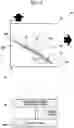 Fig. 15 - Method for manufacturing noncontact communication medium and noncontact communication medium