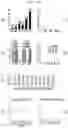 Fig. 13 - NEUROMORPHIC ALGORITHM FOR RAPID ONLINE LEARNING AND SIGNAL RESTORATION