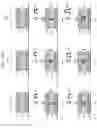 Fig. 18 - SEMICONDUCTOR DEVICE AND METHOD OF DRIVING THE SAME