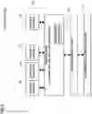 Fig. 06 - Generalized production rules—N-gram feature extraction from abstract syntax trees (AST) for code vectorization