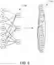 Fig. 06 - Short-depth syndrome extraction circuits in 2D quantum architectures for hypergraph product codes