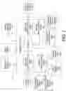 Fig. 02 - METHOD FOR AND SYSTEM FOR PREDICTING ALIMENTARY ELEMENT ORDERING BASED ON BIOLOGICAL EXTRACTION