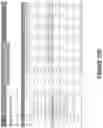 Fig. 17 - PRODUCING EXTRACT-TRANSFORM-LOAD (ETL) ADAPTERS FOR PROGRAMMED MODELS DESIGNED TO PREDICT PERFORMANCE IN ECONOMIC SCENARIOS