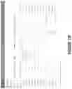 Fig. 19 - PRODUCING EXTRACT-TRANSFORM-LOAD (ETL) ADAPTERS FOR PROGRAMMED MODELS DESIGNED TO PREDICT PERFORMANCE IN ECONOMIC SCENARIOS