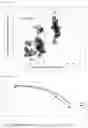 Fig. 12 - Method of predicting soybean yield