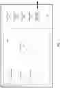 Fig. 02 - COORDINATION OF GOODS DELIVERY