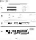 Fig. 33 - System and method for scheduling patient appointments