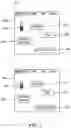 Fig. 04 - SOCIAL NETWORK PAYMENTS
