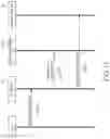 Fig. 12 - INFORMATION PROCESSING APPARATUS, INFORMATION PROCESSING METHOD, AND PROGRAM