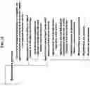 Fig. 07 - Dynamic automated insurance application architecture