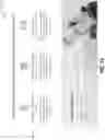 Fig. 14 - SYSTEMS AND METHODS OF DYNAMIC GRAPHICAL USER INTERFACES FOR RESOURCE POOL ALLOCATION