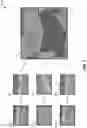 Fig. 03 - Multiple georeferenced aerial image crop analysis and synthesis