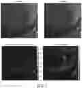 Fig. 08 - Intelligent denoising